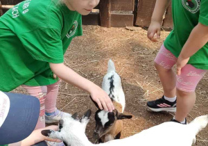 Julcia w Mini Zoo