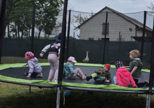 Skaczemy na trampolinie