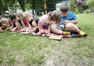 Biedronki podczas zabawy na spostrzegawczość