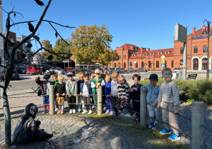 Niedźwiadki odkrywają okolice
