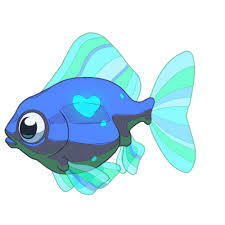 rybki