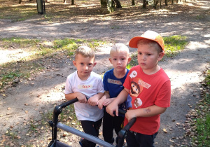chłopcy z wózkiem idą do lasu