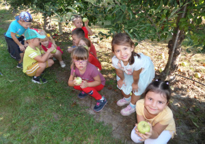 Dzieci zbierają jabłka
