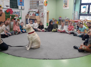 Dogoterapia - czyli psi przyjaciel wśród przedszkolaków