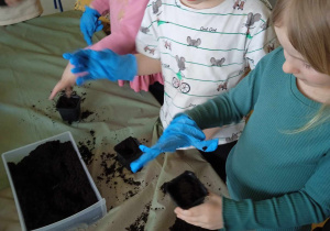 Dzieci sieją rośliny