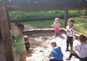 Zabawy na placu i obcowanie w wiejską przyrodą.