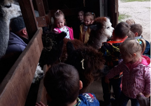 Obcowanie z tymi przemiłymi zwierzętami.