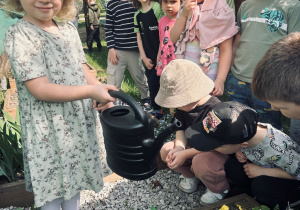 Nastka z konewką