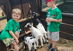 z wizytą w mini zoo