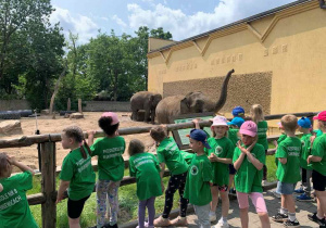 zwiedzanie Zoo