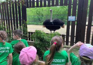 zwiedzanie Zoo