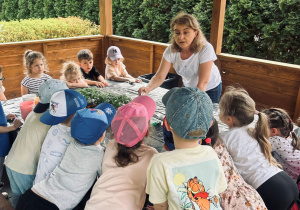Słuchamy Pani plantatorki