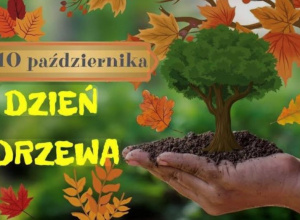 Dzień drzewa