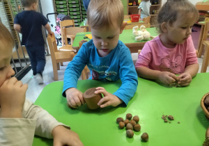 dzieci łupią orzechy