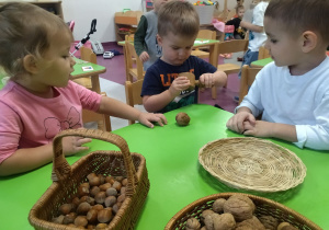 rozłupywanie orzechów