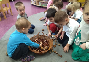 układanie kasztanów