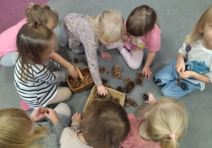dziewczynki układają szyszki