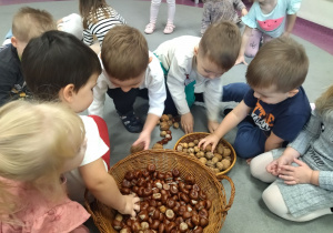 chłopcy układają kasztany