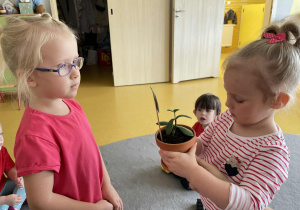 Dziewczynka wręcza drzewko szczęścia