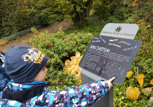 zwiedzanie Arboretum