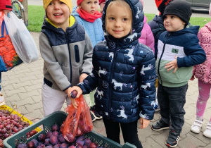 Jeremi i Wiktoria pakują śliwki