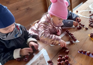 Dzieki układają kształty z kasztanów.