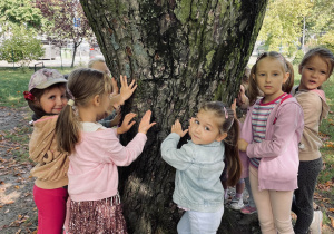 Dziewczynki otaczają drzewo