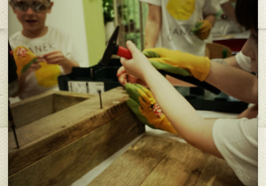 Samodzielne próby wbijania gwoździ