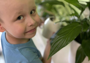 Pielęgnowanie roślin