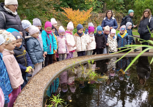 Obserwacje przyrodnicze