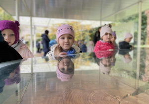 Poszerzamy wiedzę o drzewach