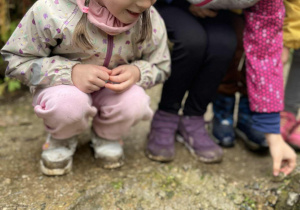 Obserwacje przyrodnicze c.d