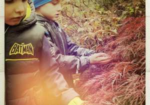 Chłopcy oglądają rośliny