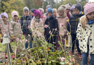 Obserwacje przyrodnicze c.d