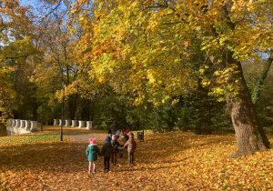 NAsz piękny park.