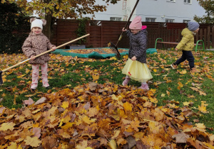 Kaja i Ilaria grabią liście