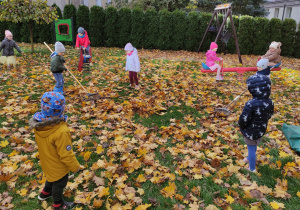 Wilczki na placu zabaw