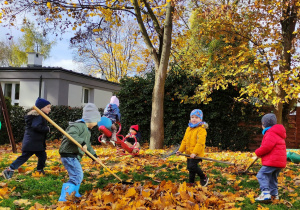 Chłopcy grabią liście