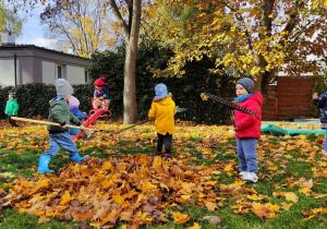 Chłopcy grabią liście
