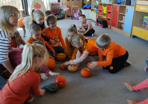 Dzieci oglądają i porównują różne dynie