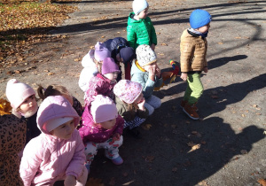 dzieci obserwują wiewiórkę