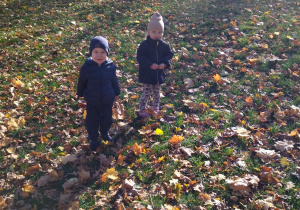 dzieci pośród liści