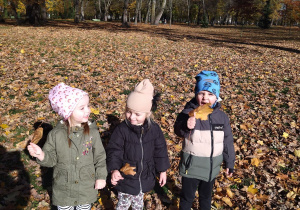 dzieci z jesiennymi liśćmi