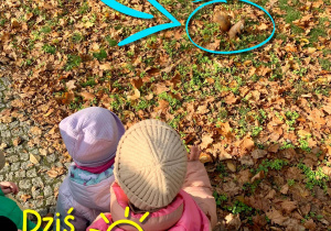 Spotkanie z wiewiórką