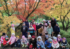 Biedronki w Arboretum.