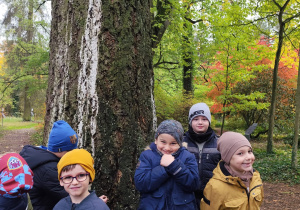 Biedronki w Arboretum.