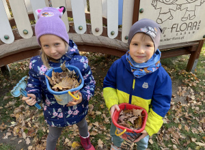 Porządki w ogrodzie