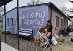 Dary zawiezione do schroniska