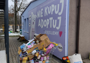 Dary zawiezione do schroniska