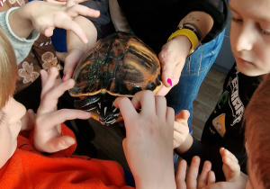 Zapoznanie ze szkolnym zwierzątkiem